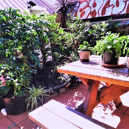 Asylum Sydney Backpackers Hostel Екстериор снимка