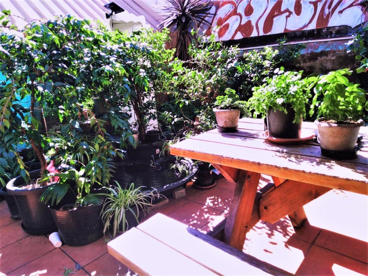 Asylum Sydney Backpackers Hostel Екстериор снимка
