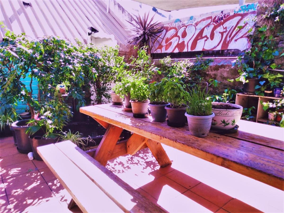 Asylum Sydney Backpackers Hostel Екстериор снимка