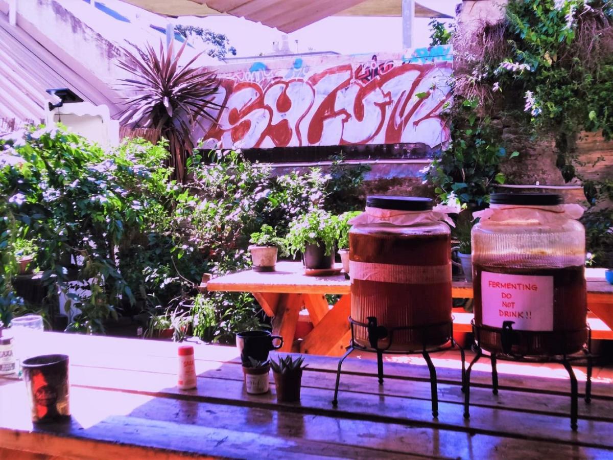 Asylum Sydney Backpackers Hostel Екстериор снимка